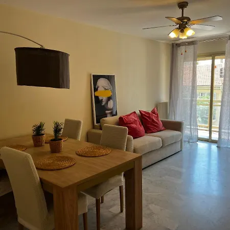Apartment Mimosas -2 Rooms-terrace-city Center -air Conditioning Cannes