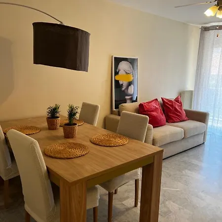 Mimosas -2 Rooms-terrace-city Center -air Conditioning Cannes